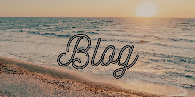 Blog